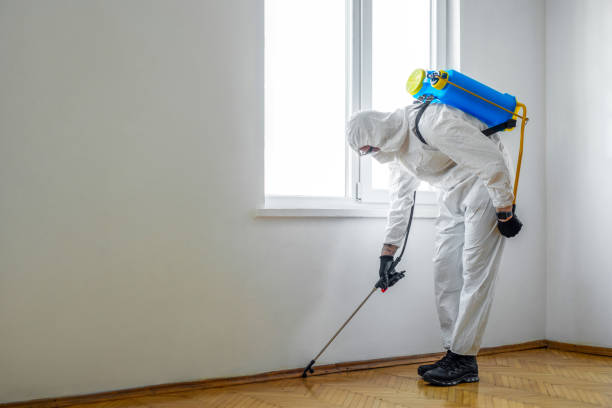 Best Flea Control Services  in Belgrade, MT