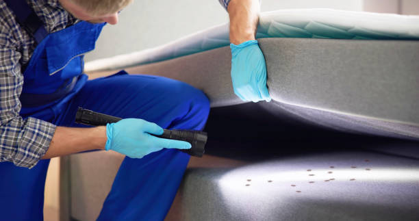 Best Emergency Pest Control  in Belgrade, MT
