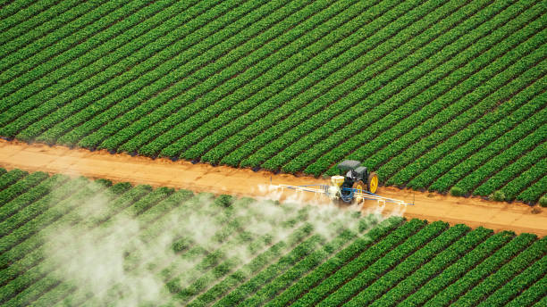 Best Pest Prevention Services  in Belgrade, MT